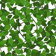 Seamless background with green leaves Vector illustration