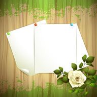 Sheets of paper N3