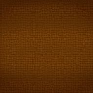 Brown Leather Texture