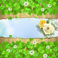 Background with clover and roses