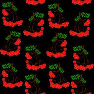seamless leaf and rowanberrys pattern vector background N4