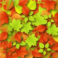 Autumn background with leaves N51