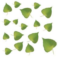 Fresh green leafs texture