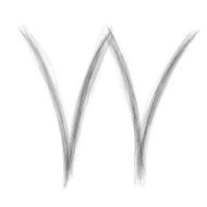 sketch alphabet W