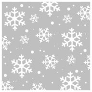 Winter pattern N58