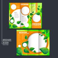 ecology concept tri-fold template brochure with leaf element