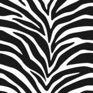 Zebra Stripes Seamless Pattern 2