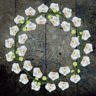 White Phalaenopsis Orchid On Old Wood N2