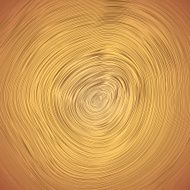 Wood texture of cutted tree trunk