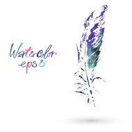 beautiful delicate feather painted in watercolor N17