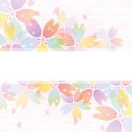 Background of colorful flower