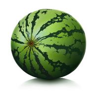 watermelon N7
