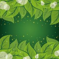 Background of leaves N2
