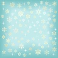 Christmas background with various snowflakes Vector