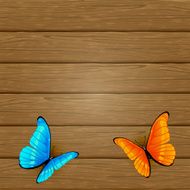 Butterflies on wooden background