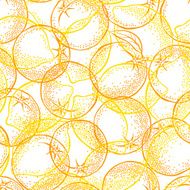 Seamless pattern with citrus fruits on a white background