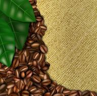 Burlap background with coffee beans and leaves