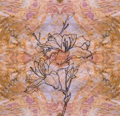 Chinese painting with paper texture--line drawing flower N5