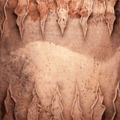 Old metal background N879