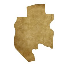Gabon grunge treasure map
