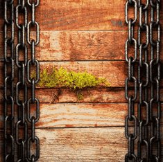 metal and wood background N321