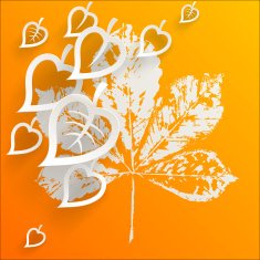 Autumn leaves Abstract background N3