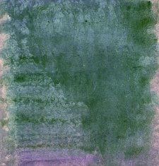 Abstract Watercolor nature painting N546