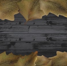 leaves frame N14