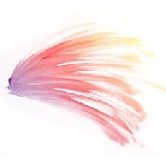 colorful Abstract water color painting background N30