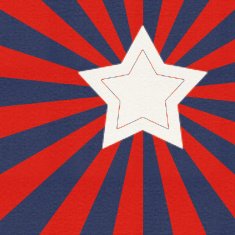 stylized american flag N2