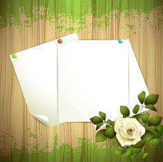 Sheets of paper N3