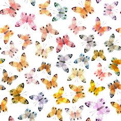 Seamless background of butterfly
