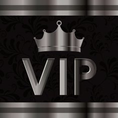 VIP design vector illustration N18