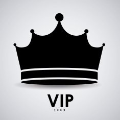VIP design vector illustration N20