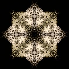 Mandala Decorative hand drawn lace pattern N10