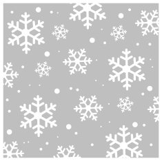 Winter pattern N58