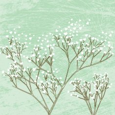Baby's Breath of Love N2