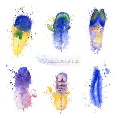 Watercolor feathers N6