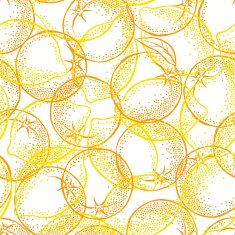 Seamless pattern with citrus fruits on a white background