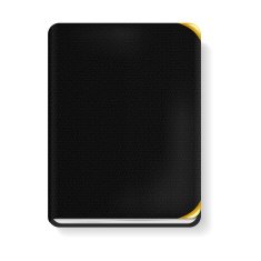 Book covered in black leather N2