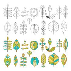 Set of hand drawn leaves N2