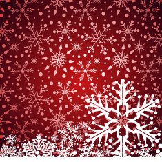 Christmas decoration frame N762