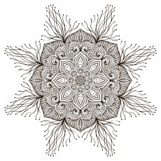 Mandala N282