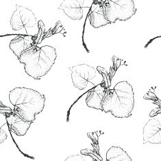 Linden pattern