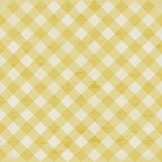 Vintage yellow plaid vector background N2