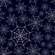 spider web seamless pattern eps10