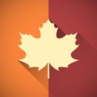 Maple Leaf N43