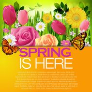 Beautiful Spring background N10