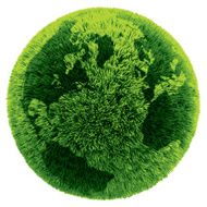 Green grass earth