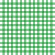 Vector green gingham N2